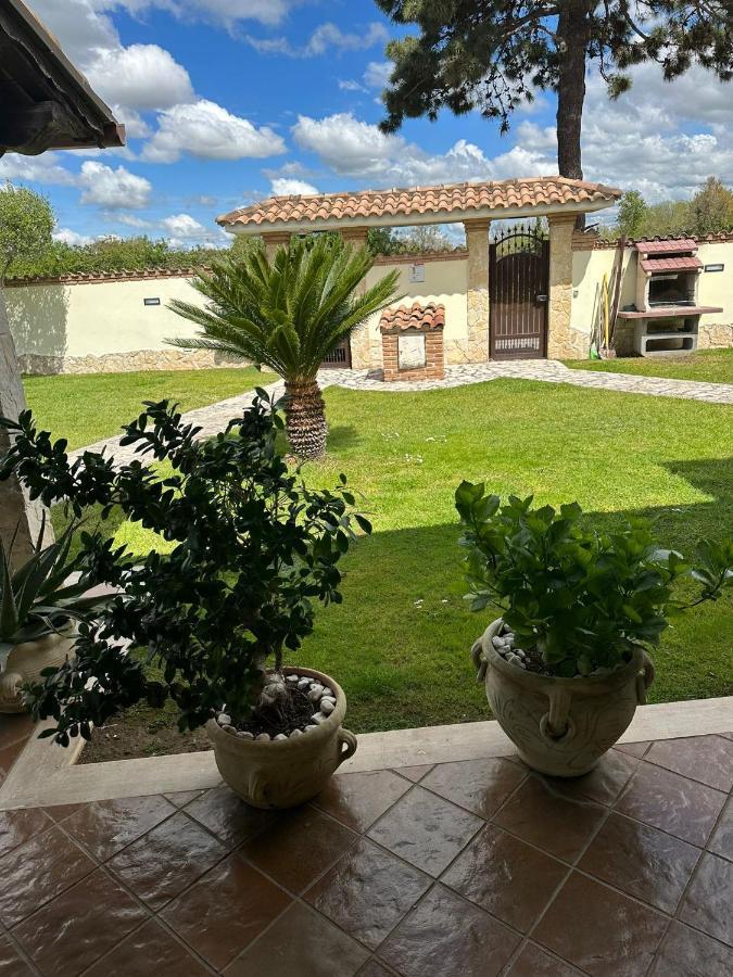 فيلا Gold House Luxury آنسيو المظهر الخارجي الصورة